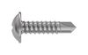 TR FASTENINGS 4.2 X 19 FLSTDX Z100 DIN7504