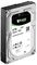 SEAGATE ST6000NM0095