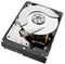 SEAGATE ST6000NM0095